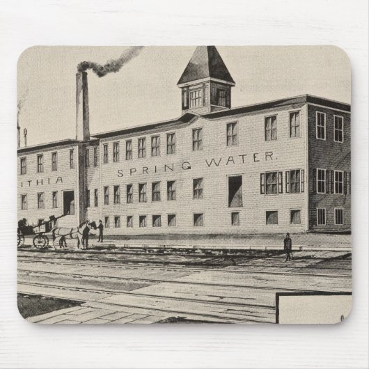 Londenaren Lithia Spring Water Co Muismat (Voorkant)