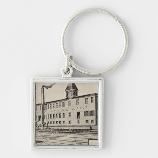 Londenaren Lithia Spring Water Co Sleutelhanger (Voorkant)