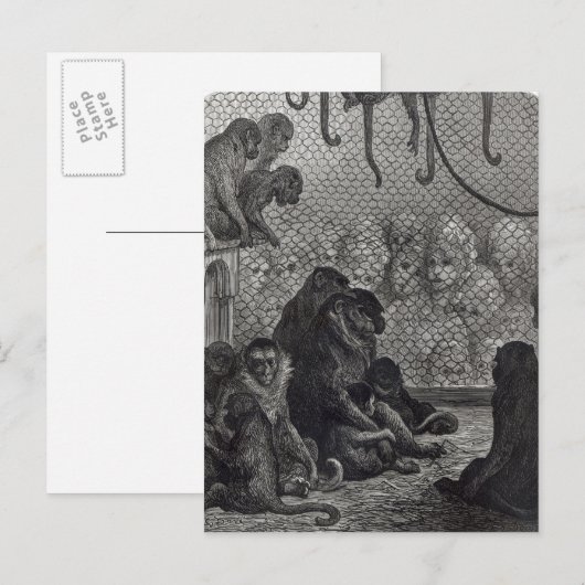 Londense apen briefkaart (Voorkant / Achterkant)