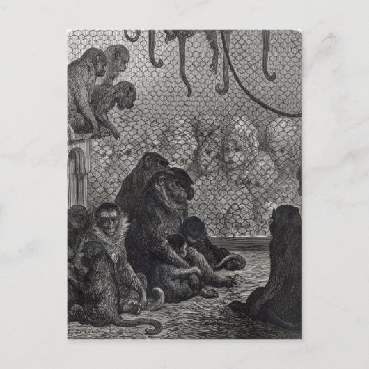 Londense apen briefkaart (Voorkant)