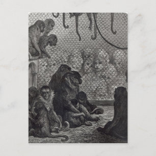 Londense apen briefkaart