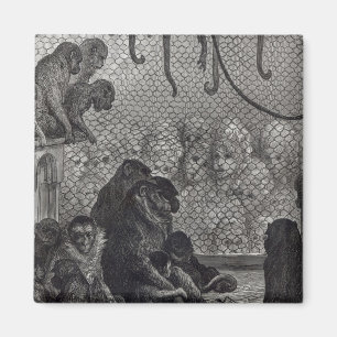 Londense apen magneet