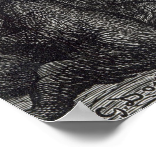 Londense apen poster (Hoek)