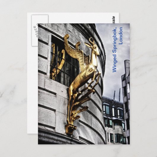 Londense spinbok briefkaart (Voorkant / Achterkant)