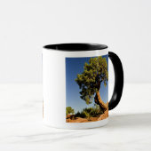 London Cedar, Deadhorse Point State Park Mok (Voorkant rechts)