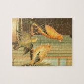 London Fancy Canaries Legpuzzel (Horizontaal)