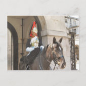 London, Mounted sentry in Whitehall Briefkaart (Voorkant)