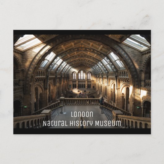 London - Natural History Museum Briefkaart (Voorkant)