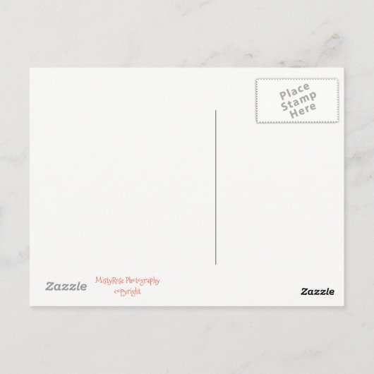 London Palace Guard Briefkaart (Achterkant)