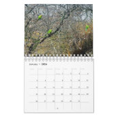 London Park Wildlife Tranquility Kalender (Jan 2026)