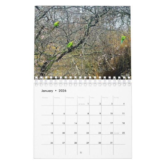 London Park Wildlife Tranquility Kalender (Jan 2026)