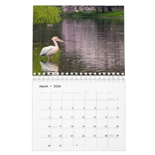 London Park Wildlife Tranquility Kalender (Mar 2026)