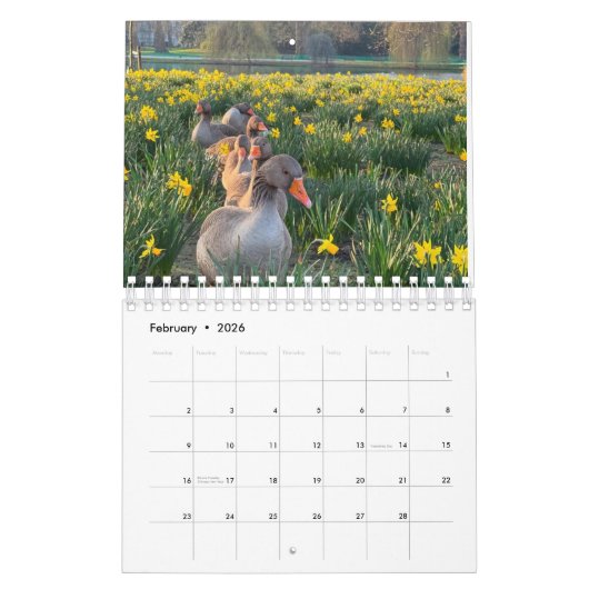 London Park Wildlife Tranquility Kalender (Feb 2026)