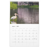 London Pelicans of St James's Park Kalender (Mar 2027)