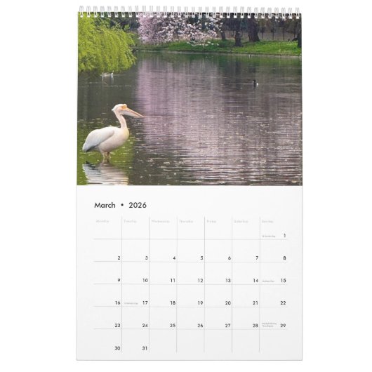 London Pelicans of St James's Park Kalender (Mar 2026)