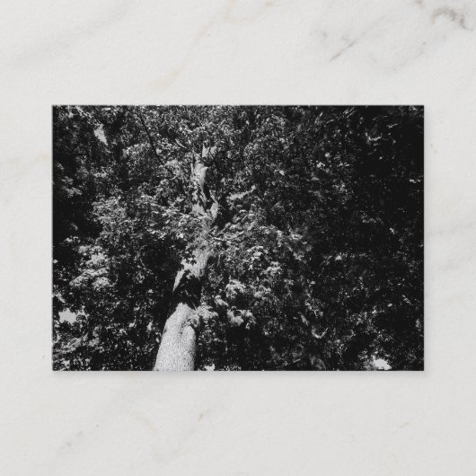 London Plane Tree B&W, Mini Foto Visitekaartje (Voorkant)