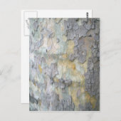 London Plane Tree Bark Briefkaart (Voorkant / Achterkant)