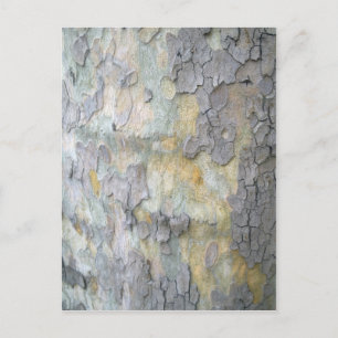 London Plane Tree Bark Briefkaart