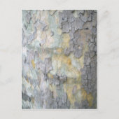 London Plane Tree Bark Briefkaart (Voorkant)