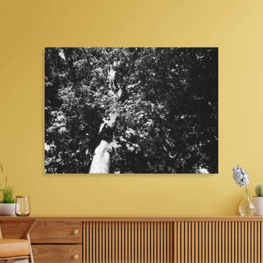 London Plane Tree Canvas Afdruk (Insitu (Woonkamer))