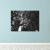 London Plane Tree Canvas Afdruk (Insitu (Houten vloer))