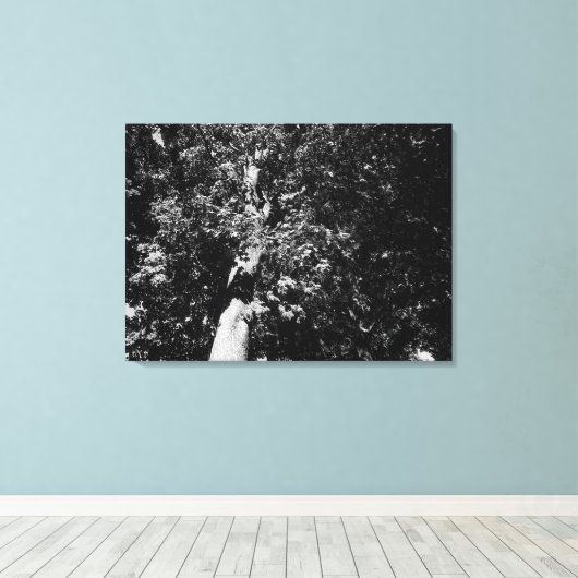 London Plane Tree Canvas Afdruk (Insitu (Houten vloer))