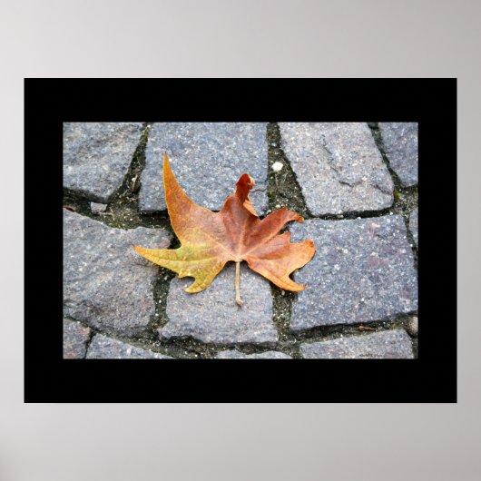 London Plane Tree Leaf Poster (Voorkant)