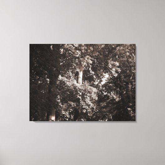 London Plane Trees Canvas Afdruk (Voorkant)