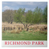 London Richmond Park hert keramische tegel Tegeltje (Voorkant)