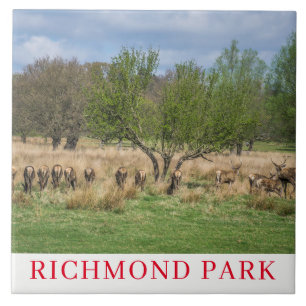 London Richmond Park hert keramische tegel Tegeltje