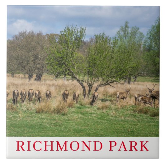 London Richmond Park hert keramische tegel Tegeltje (Voorkant)