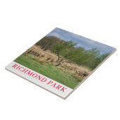 London Richmond Park hert keramische tegel Tegeltje (Zijkant)