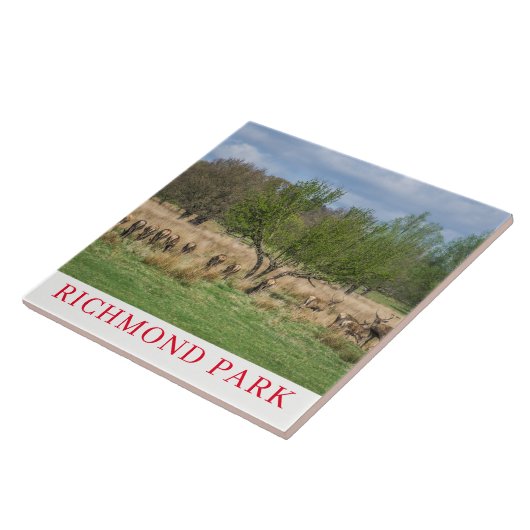 London Richmond Park hert keramische tegel Tegeltje (Zijkant)