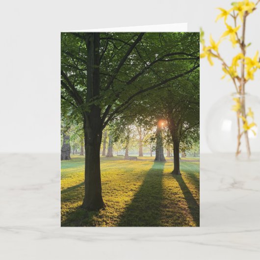 London Sunrise and Sunset  Kaart (Gele Bloem)