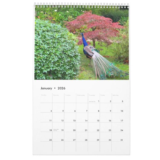 London's Hidden Gems - The Magical Kyoto Garden Kalender (Jan 2026)