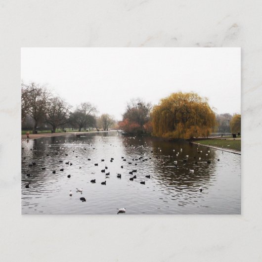 LONDON's parken Briefkaart (Voorkant)
