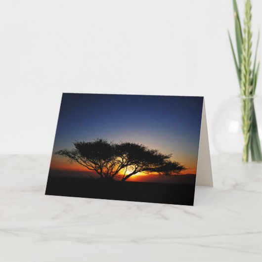 Lone Acacia at Fiery Red Sunrise, blanco in side Kaart (Voorkant)