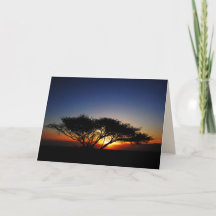 Lone Acacia at Fiery Red Sunrise, blanco in side