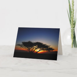 Lone Acacia at Fiery Red Sunrise, blanco in side Kaart