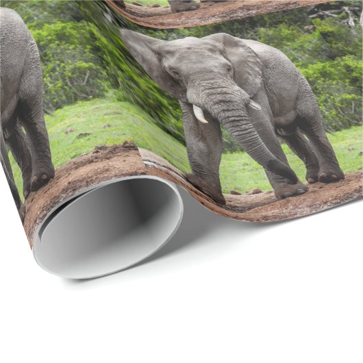 Lone Afrikaanse olifantenstier. Cadeaupapier (Rol Hoek)