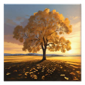 Lone Autumn Tree: Een vleugje rust Foto Afdruk (Voorkant)