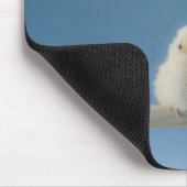 Lone Baby Pet Chicken Sitting on a Perch Muismat (Hoek)