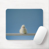 Lone Baby Pet Chicken Sitting on a Perch Muismat (Met muis)