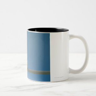 Lone Baby Pet Chicken Sitting on a Perch Tweekleurige Koffiemok