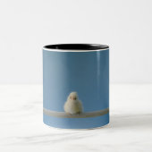 Lone Baby Pet Chicken Sitting on a Perch Tweekleurige Koffiemok (Center)