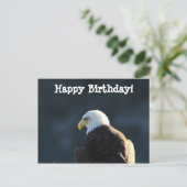 Lone Bald Eagle: Gelukkige verjaardag Briefkaart (Staand voorkant)