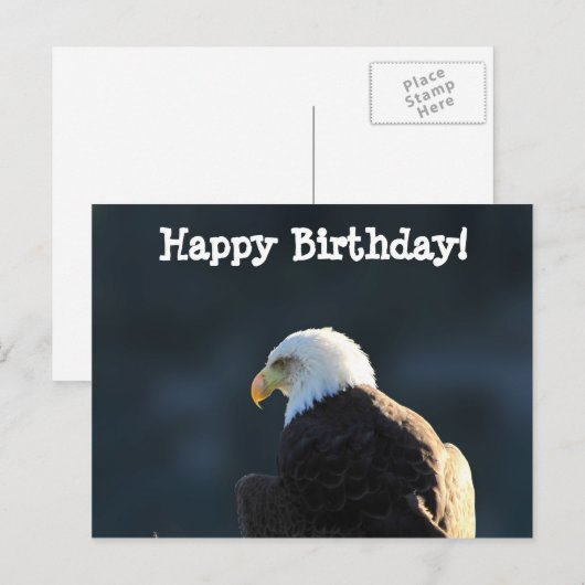 Lone Bald Eagle: Gelukkige verjaardag Briefkaart (Voorkant / Achterkant)