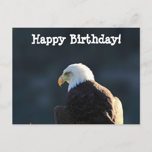 Lone Bald Eagle: Gelukkige verjaardag Briefkaart (Voorkant)