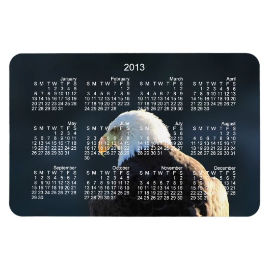 Lone Bald Eagle; Kalender 2013 Magneet (Horizontaal)