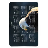 Lone Bald Eagle; Kalender 2013 Magneet (Verticaal)